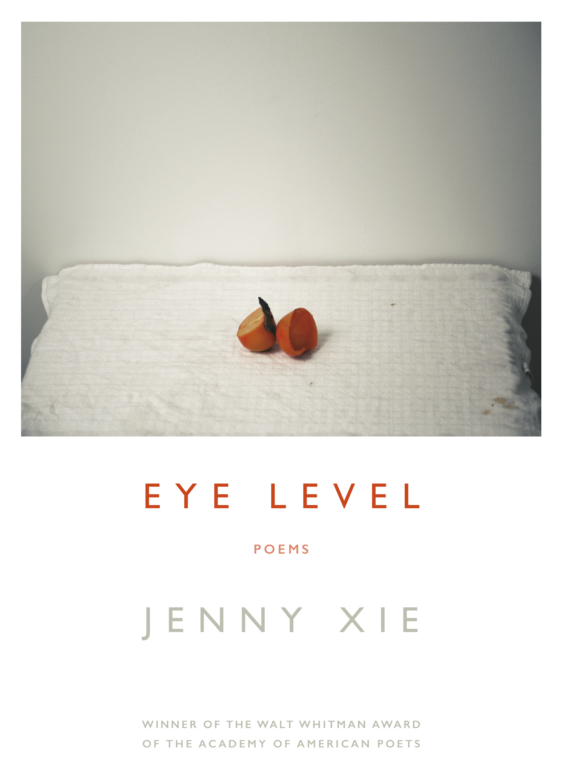 Image result for eye level jenny xie