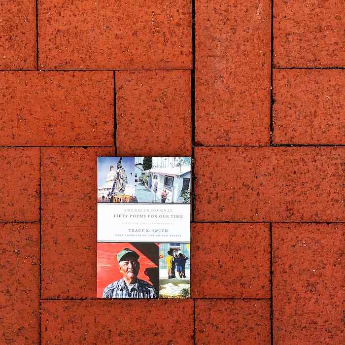 American Journal on red bricks