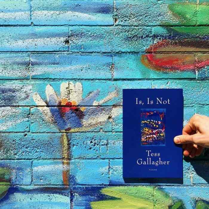 Is, Is Not against a flower wall