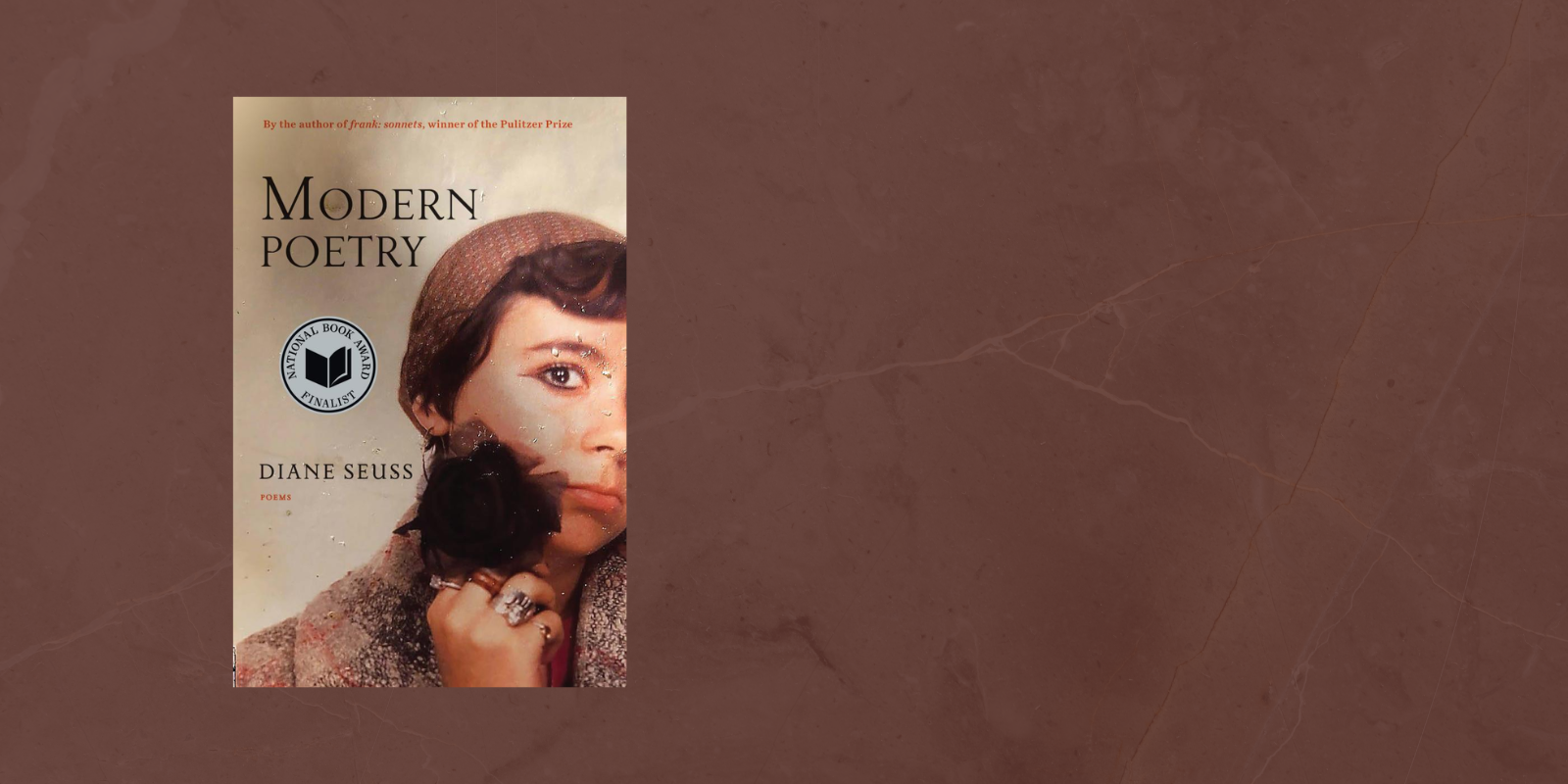 Diane Suess Web Banner 1600x900 (1).png
