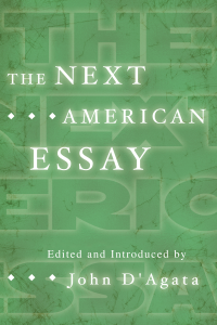 The Next American Essay