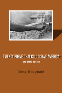 Twenty Poems That Could Save America and Other Essays