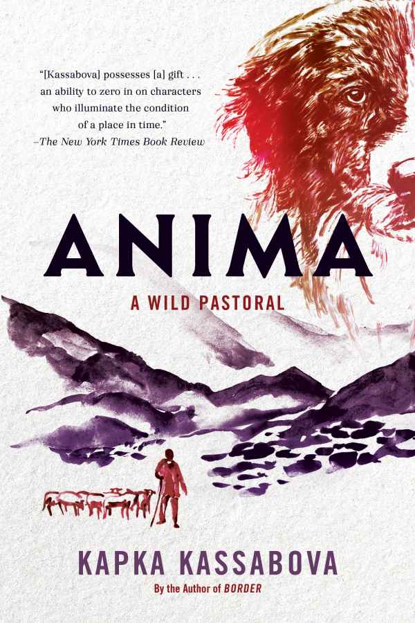 Anima cover